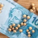 A iniciativa contempla financiamentos com prazo de até nove anos (Imagem: Shutterstock)