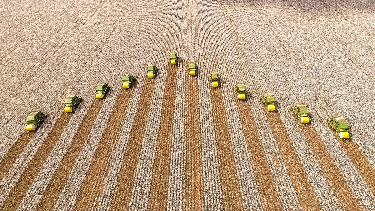 Renda fixa isenta da SLC Agrícola oferece taxa de CDI+ 0,50% ao ano (Imagem: Shutterstock)