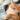 Planejamento financeiro para ter pets.