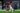 Vojvoda se diz decepcionado após derrota do Santos para o Vitória