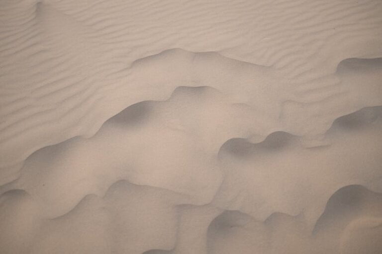 Close-up of sand dunes with textures in Samalayuca, Mexico's desert.